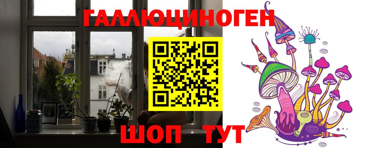 Владивосток  Псилоцибиновые грибы Cubensis  Вход с VPN 